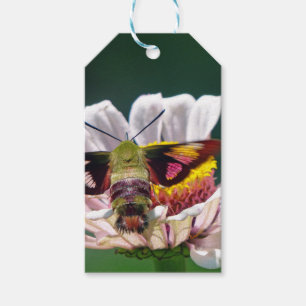 Hummingbird Moth Gift Tags