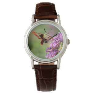Hummingbird Moth on a Butterfly Bush Watch