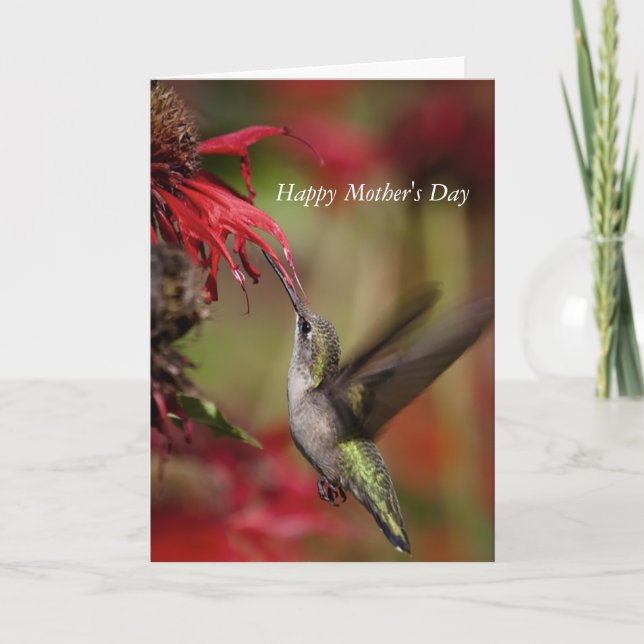 Hummingbird Mother's Day card (Front)