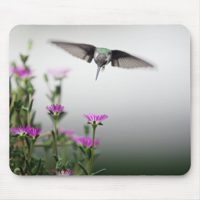 Hummingbird Mouse Pad (Front)