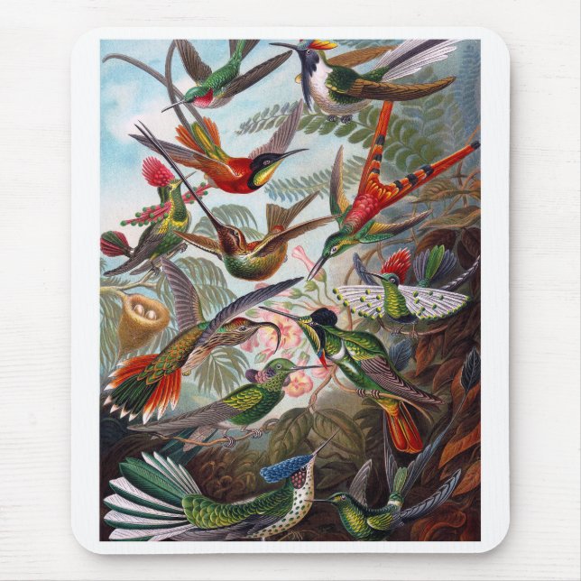 Hummingbird Mouse Pad (Front)