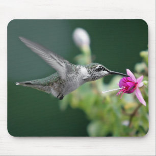 Hummingbird Mouse Pad
