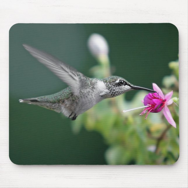 Hummingbird Mouse Pad (Front)