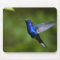 HUMMINGBIRD MOUSE PAD