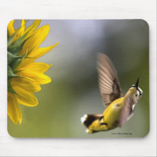 Hummingbird Mouse Pad