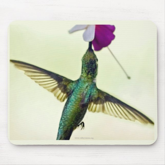 Hummingbird Mouse Pad (Front)
