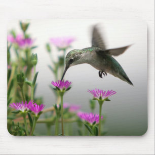 Hummingbird Mouse Pad