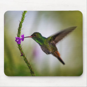 hummingbird mouse pad