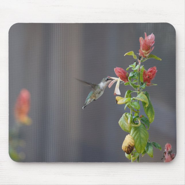 Hummingbird Mouse Pad (Front)