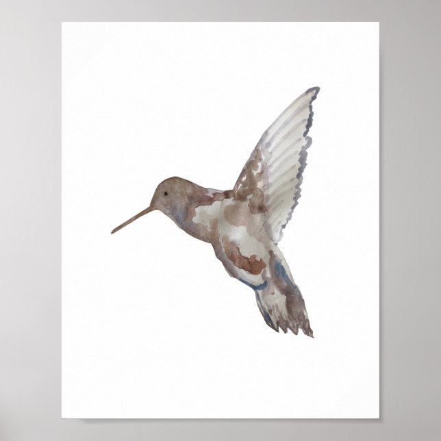 Hummingbird Nature Painting Poster (Front)