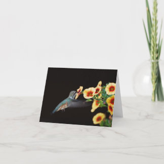 Hummingbird Note Card (blank)