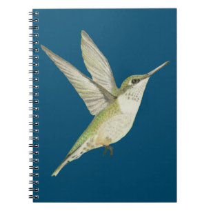 Hummingbird Notebook
