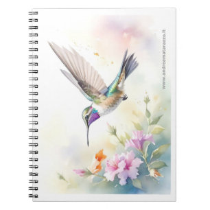 Hummingbird Notebook