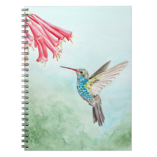Hummingbird notebook