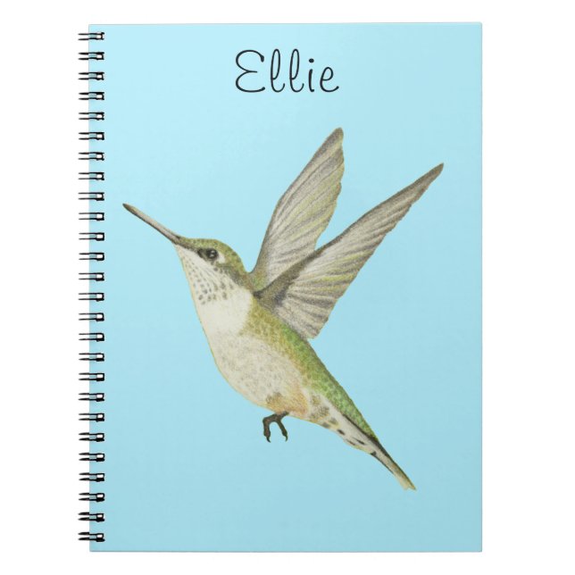 Hummingbird Notebook (Front)