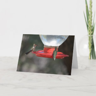 Hummingbird Notecard