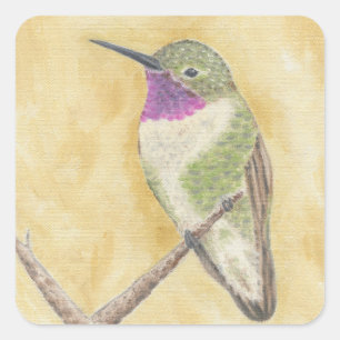 Hummingbird on a Branch sticker