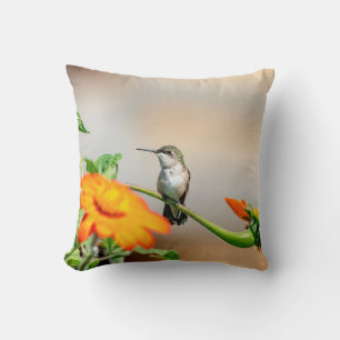 Hummingbird on a flowering plant cushion