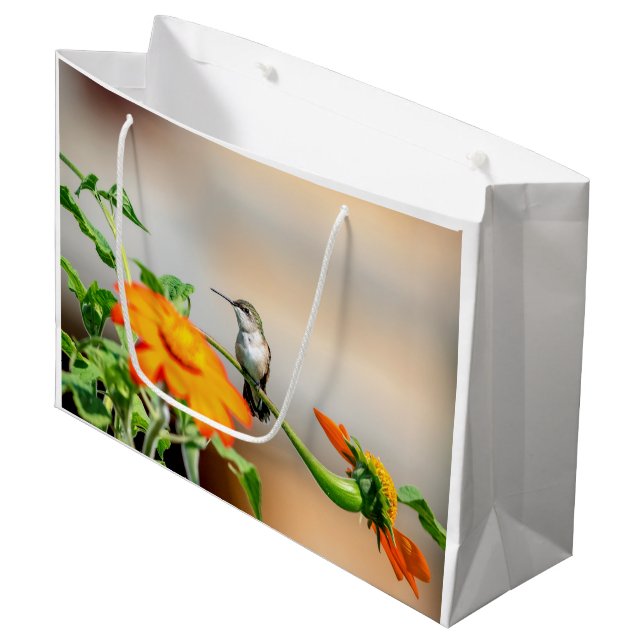 Hummingbird on a flowering plant large gift bag (Front Angled)