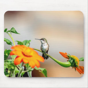 Hummingbird on a flowering plant mouse pad