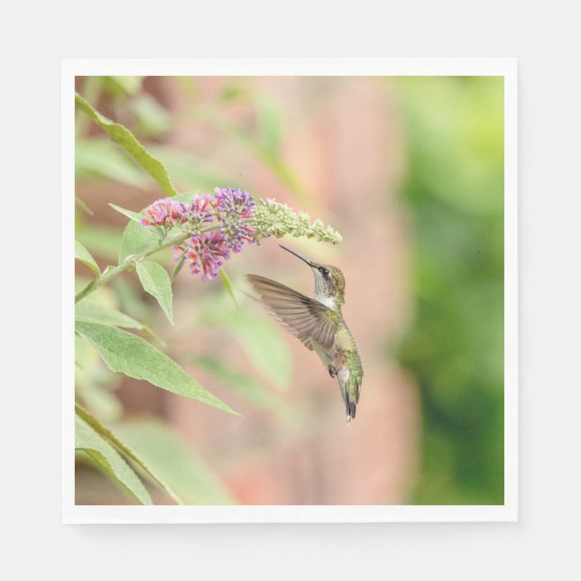 Hummingbird on a flowering plant napkin (Front)