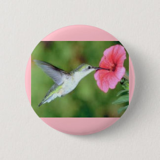 Hummingbird on a Round Button