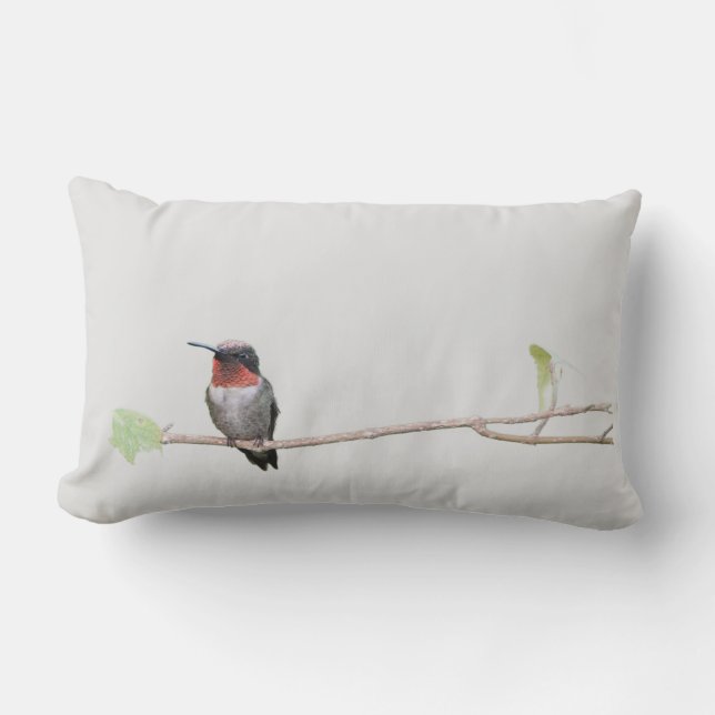 Hummingbird on Branch Lumbar Cushion (Front)