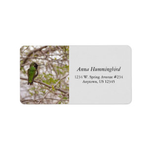 Hummingbird On Branch Spring Time Green Colours Label