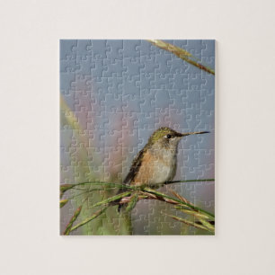 hummingbird on grass jigsaw puzzle