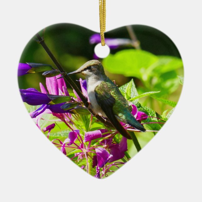 Hummingbird on Hummingbird Mint Ceramic Tree Decoration (Front)