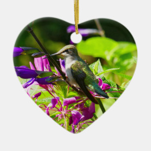 Hummingbird on Hummingbird Mint Colourful Nature Ceramic Tree Decoration