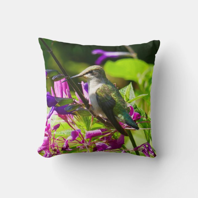 Hummingbird on Hummingbird Mint Cushion (Front)