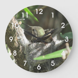 Hummingbird on Nest Large Clock