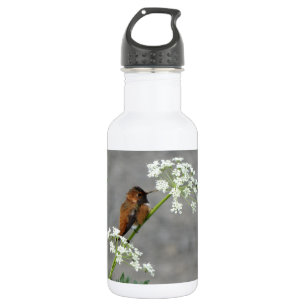 Hummingbird on Queen Ann's lace flower 532 Ml Water Bottle
