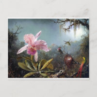 Hummingbird orchid flower tropical forest painting