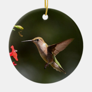 Hummingbird Ornament