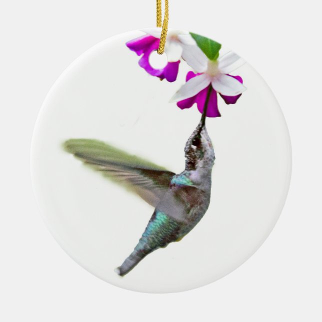 Hummingbird Ornament (Front)