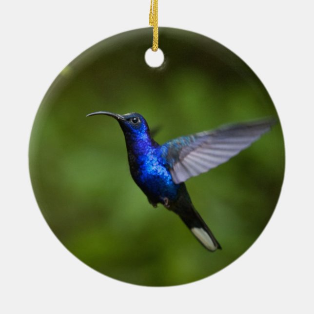 HUMMINGBIRD ORNAMENT (Back)