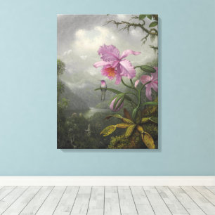 Hummingbird Perched on an Orchid Plant by MJ Heade Canvas Print