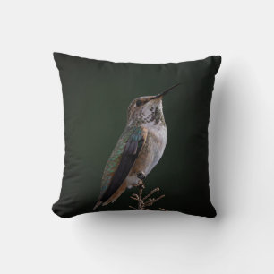 Hummingbird Perched on Branch - Bird Photography Cushion