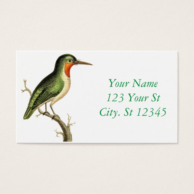 Hummingbird Perched Thunder_Cove (Front)