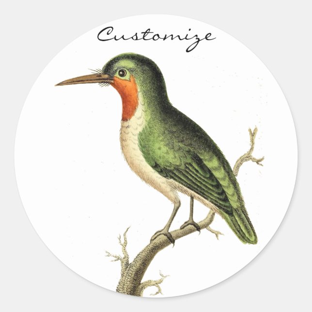 Hummingbird Perched Thunder_Cove Classic Round Sticker (Front)