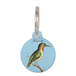 Hummingbird Perched Thunder_Cove Pet Tag