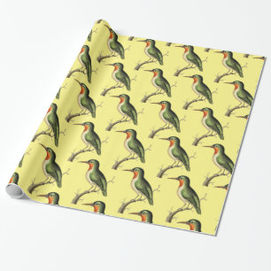 Hummingbird Perched Thunder_Cove Wrapping Paper
