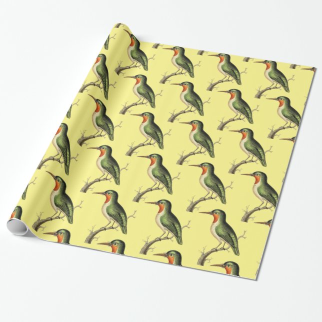 Hummingbird Perched Thunder_Cove Wrapping Paper (Unrolled)
