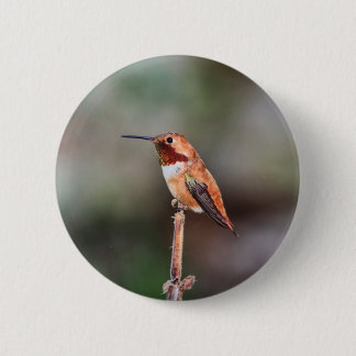 Hummingbird Photo 6 Cm Round Badge