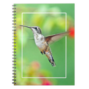 Hummingbird Photograph Notebook