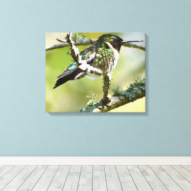 Hummingbird Photography Wall decor Canvas (Insitu(Wood Floor))