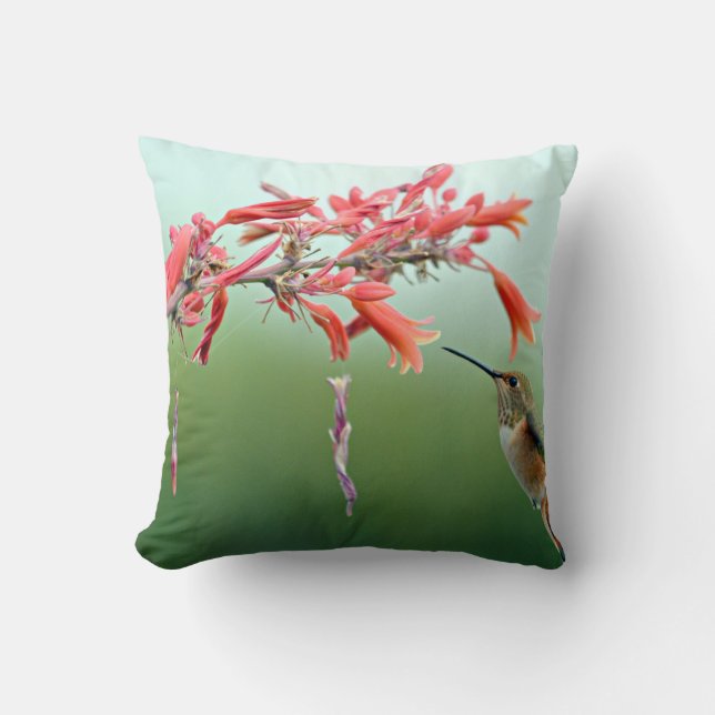 Hummingbird pillow (Front)