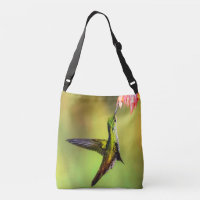 Hummingbird Pink Flower Bird